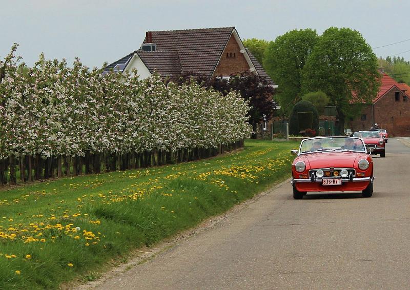 Follow the leader op 13-4-2014 org. Jos & Marie-lou (71).JPG